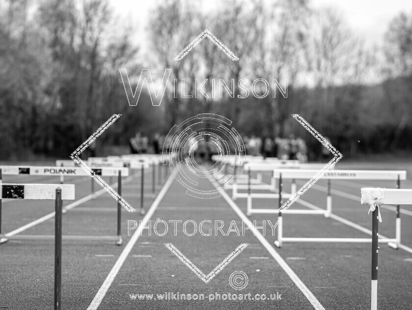 Hurdles BW